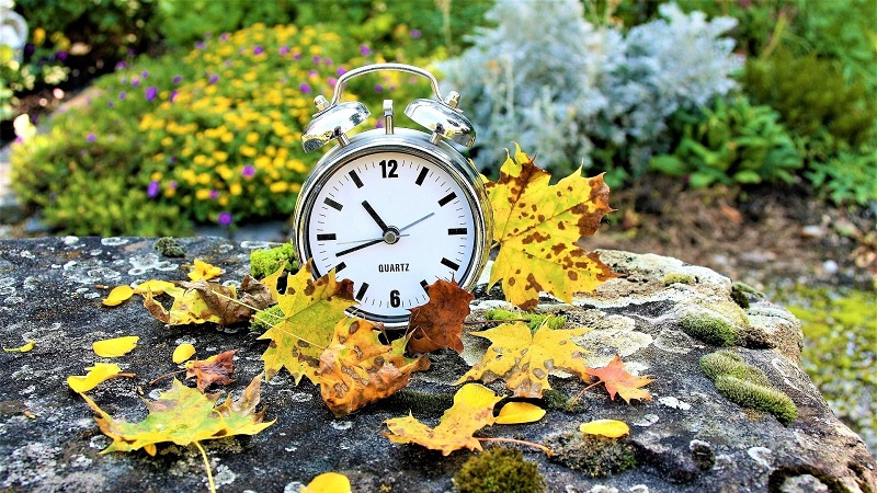 바위 위의 낙엽과 시계