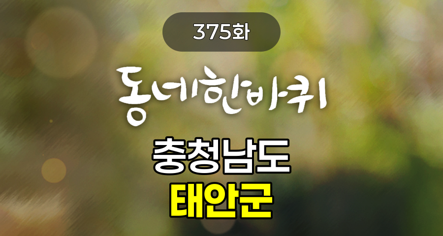KBS 동네한바퀴 충청남도 태안군 375화 2026년 6월 20일 맛집 식당 업체 촬영장소 촬영지 정보, 희망의 탑을 쌓다 - 천수만 부상탑, 과학자를 꿈꾸던 아들과 엄마가 끓이는 하얀 게국지, 사계절 꽃이 피는 엄마의 정원, 태안의 신 풍속도 - 강아지와 함께하는 갯벌 체험, 버려진 조개껍데기에서 찾은 제2의 인생, 알콩달콩 섬돌이 섬순이 부부의 우럭통양념구이, 천년 세월을 잇는 부자의 자부심 – 태안 전통소금 자염