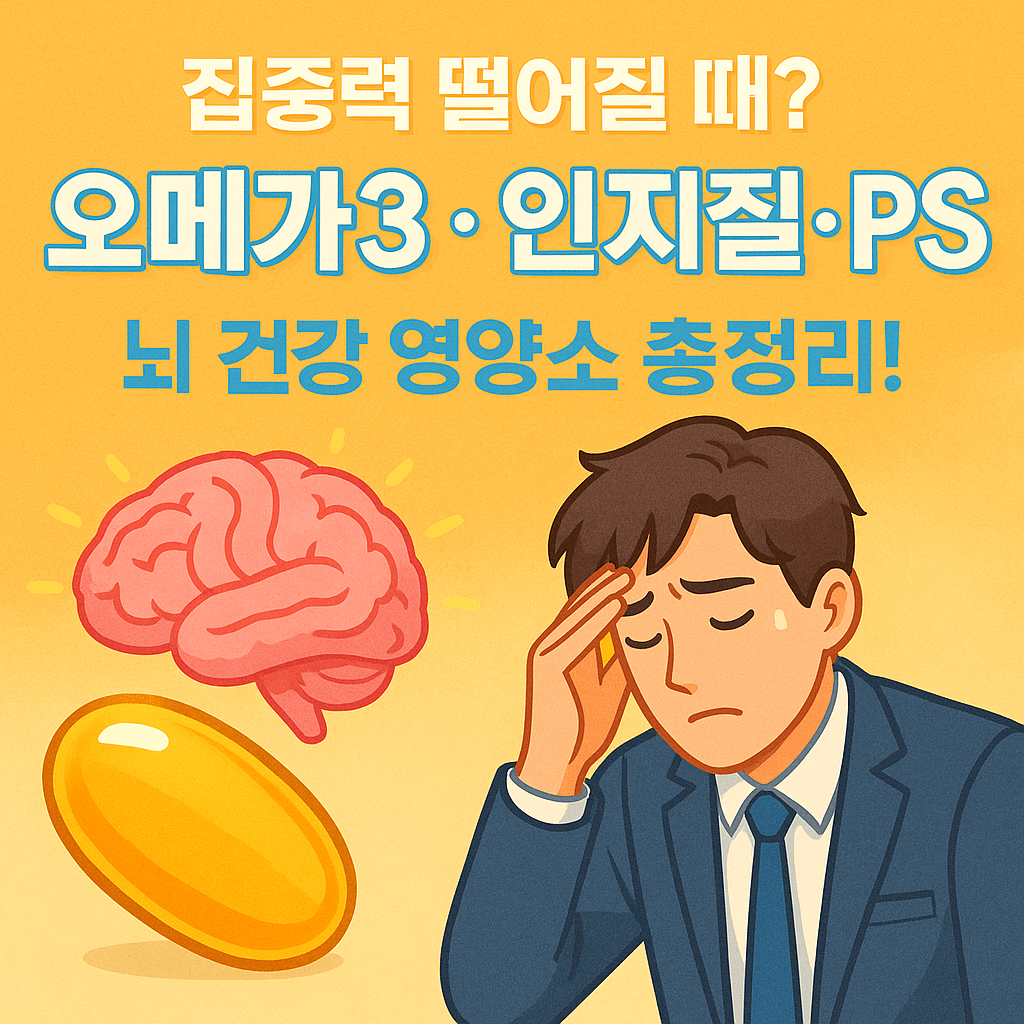 집중력 떨어질 때? 오메가3,인지질,PS. 뇌 건강 영양소 총정리!