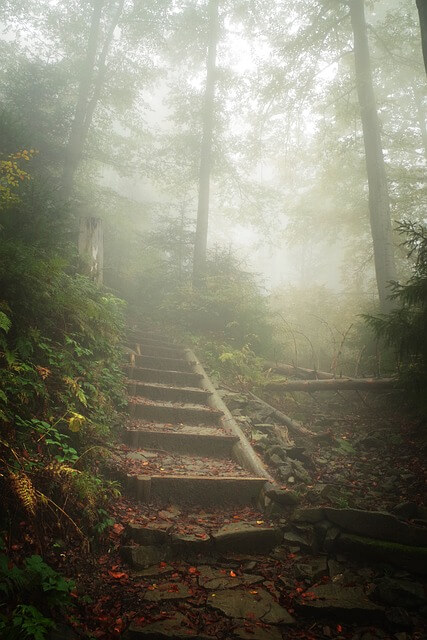 한라산 탐방예약