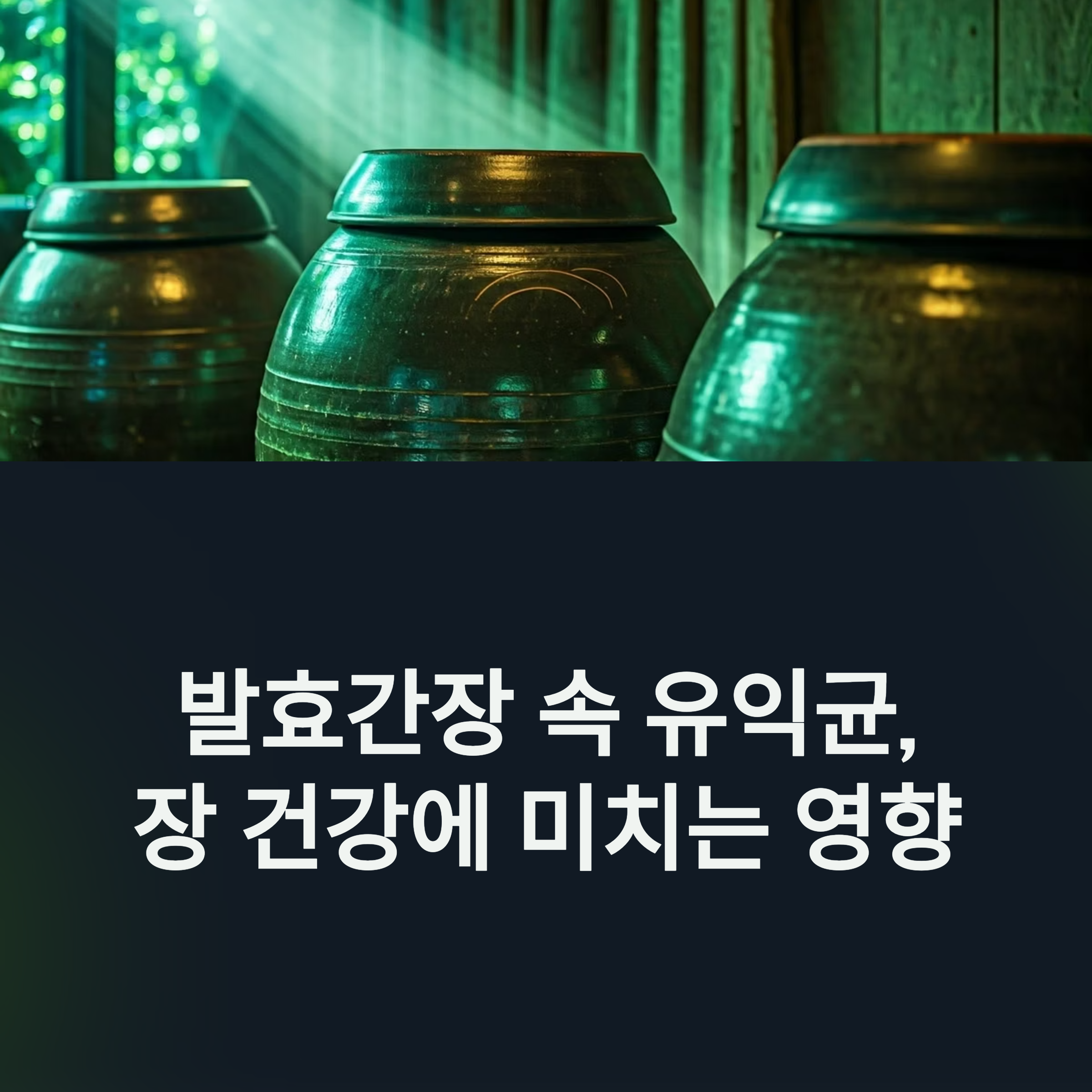 발효간장 속 유익균, 장 건강과 면역에 미치는 영향