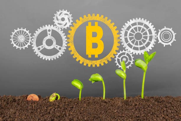 블록체인을 활용한 농산물의 투명한 공급망 구축(Blockchain Agriculture Supply Chain)