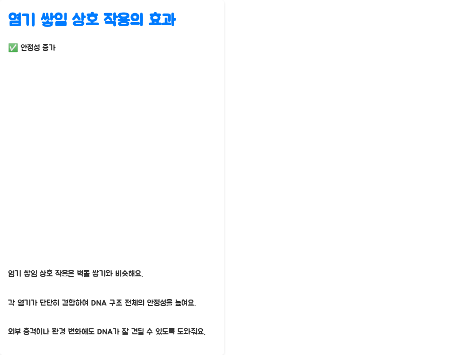 DNA 이중나선 구조, 왜 이렇게 안정적일까요? 분자생물학의 놀라운 비밀! - DNA 이중나선 구조의 안정성: 염기 쌓임 상호 작용의 힘 - 염기 쌓임 상호 작용의 효과: 안정성 증가