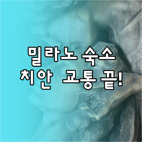밀라노 동계올림픽 여행 숙소 치안과 ..