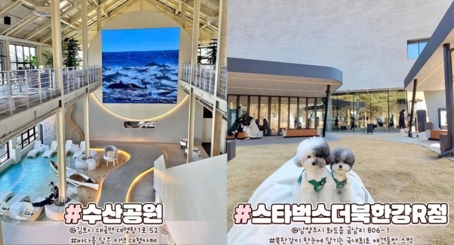 경기도 이쁜 카페 36곳.jpg 경기도 이쁜 카페 36곳.jpg