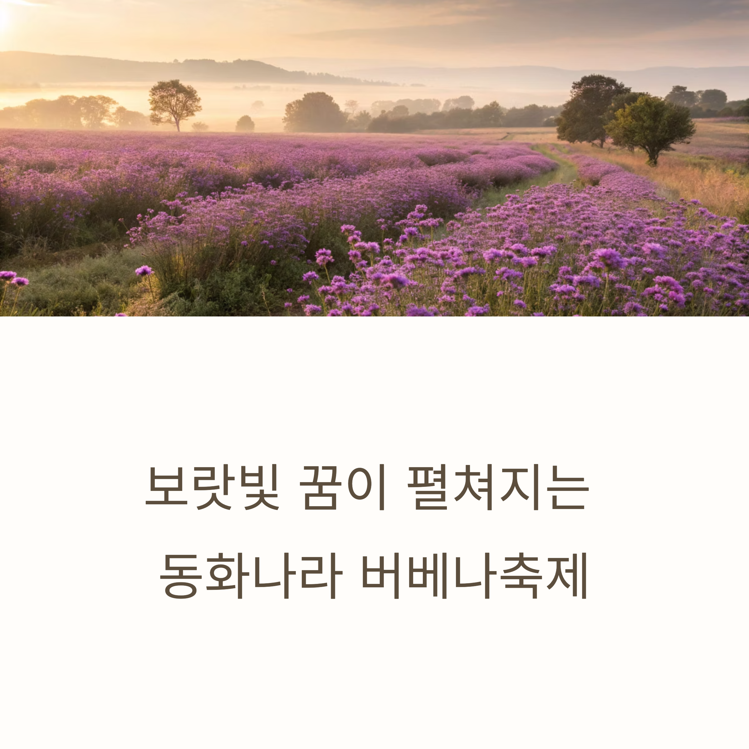 전남 장성 버베나축제