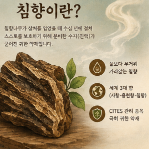 김소형-침챵환-효능-후기-가격-침향단-효과-복용방법-성분