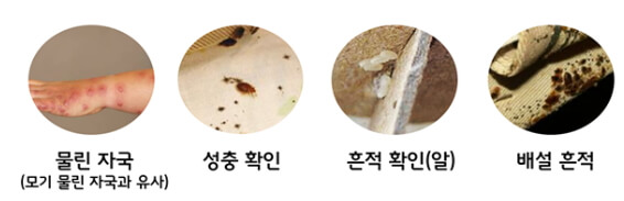 빈대 체크리스트
