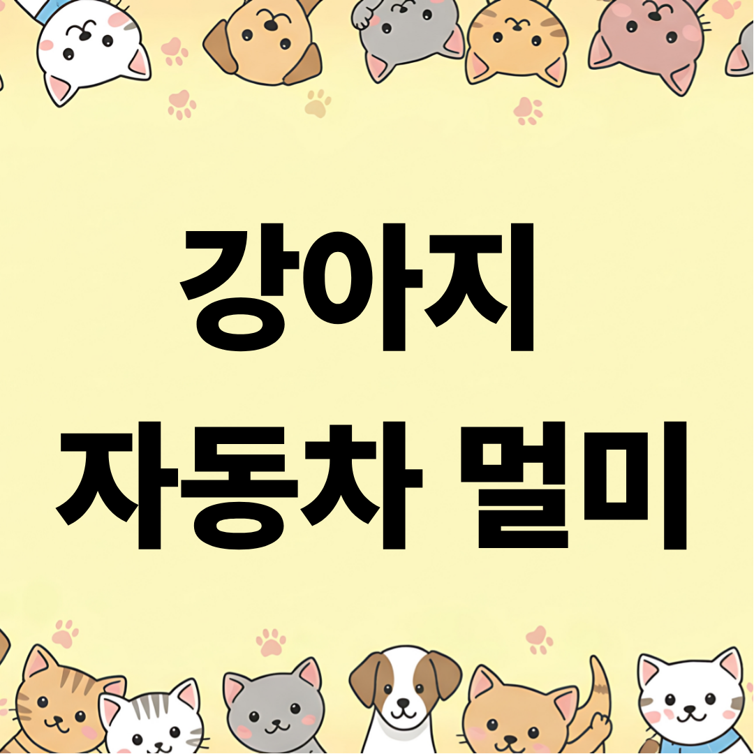강아지 자동차 멀미