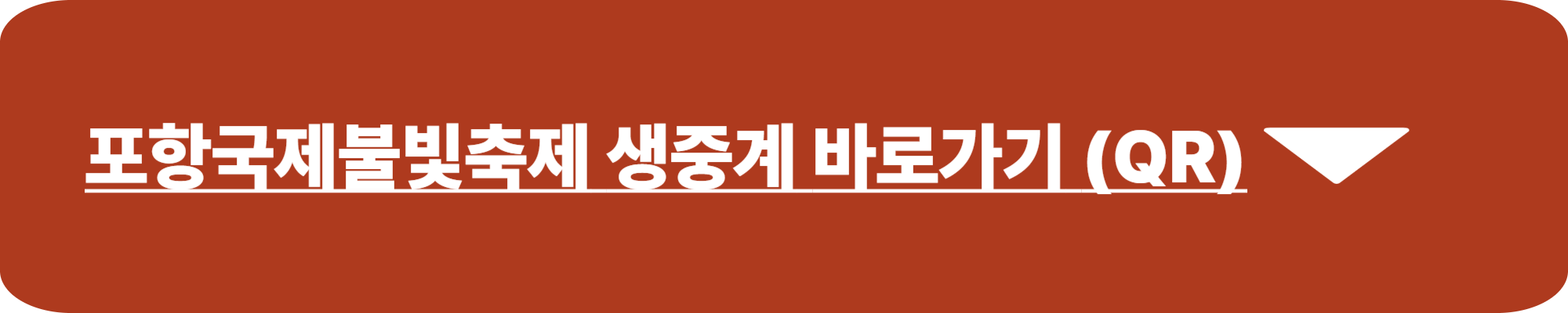 포항국제불빛축제