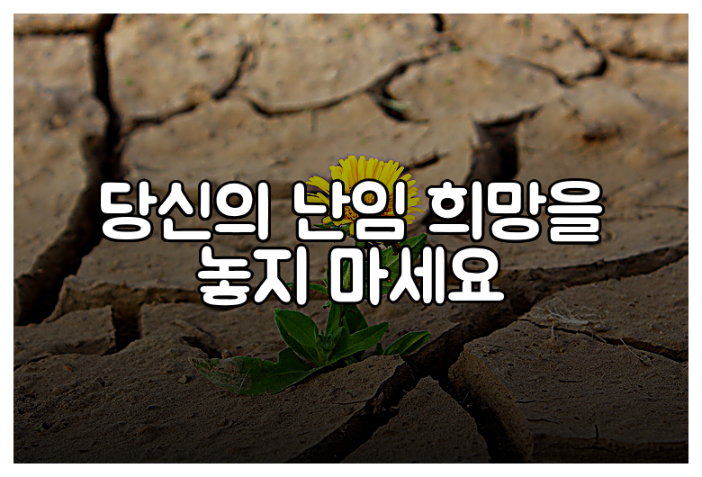 당신의 난임 희망을 놓지 마세요