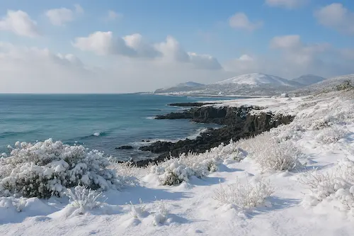 애월의 설경은 감탄을 자아냅니다