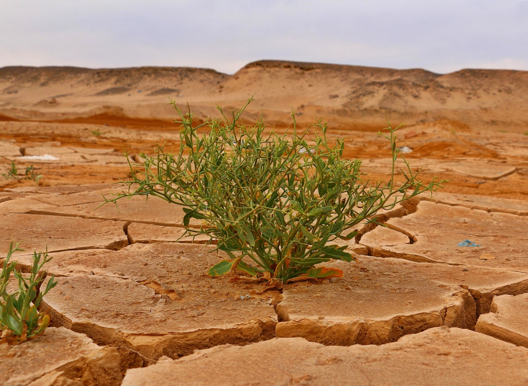 기후 위기는 왜 ‘연금 시스템’을 먼저 흔드는가!