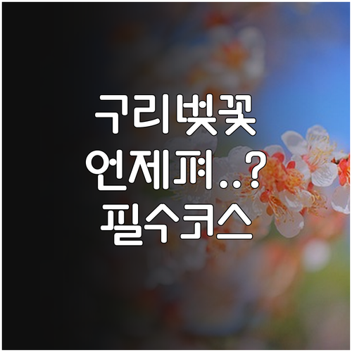 구리시 벚꽃 개화 시기 분석 장자호수..