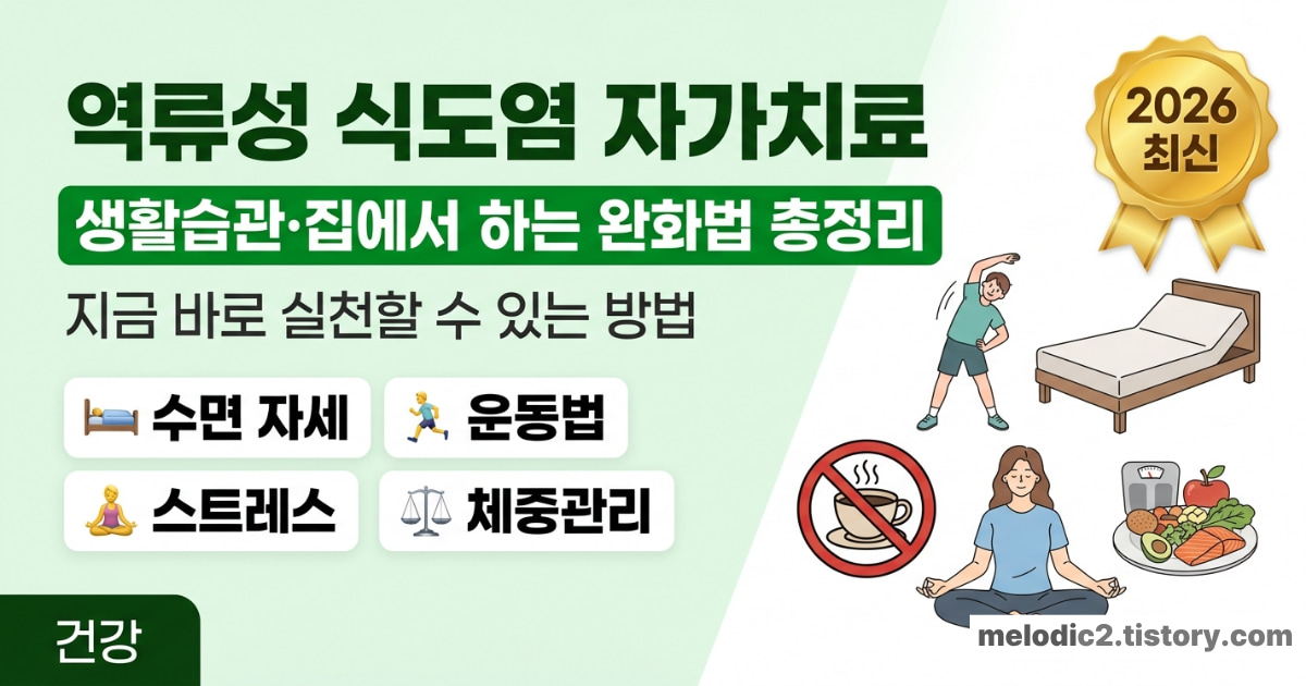 역류성 식도염 자가치료 생활습관 집에서 증상 줄이는 법 2026 총정리 안내