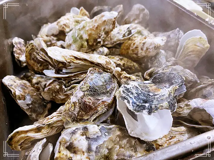 진심 가득 건강 담은 맛 요리 여수 맛집 추천 생방송투데이 자족식당