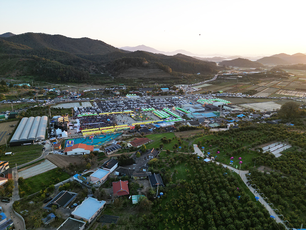 2024 고흥 유자 축제