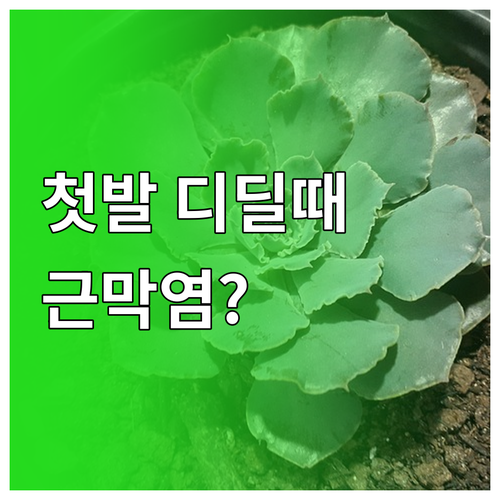 첫발 디딜 때 아프면 의심하는 발바닥..