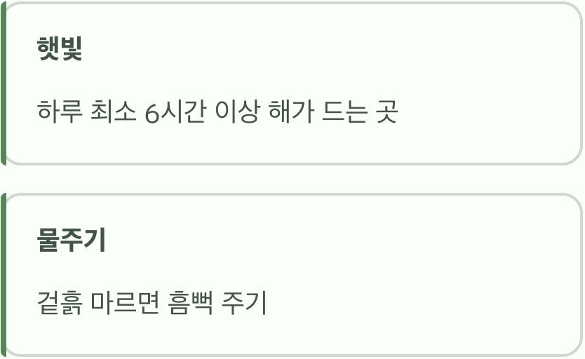 햇빛과 물&amp;#44; 가장 기본적인 관리