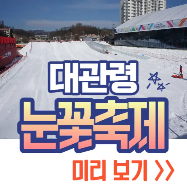 대관령 눈꽃축제