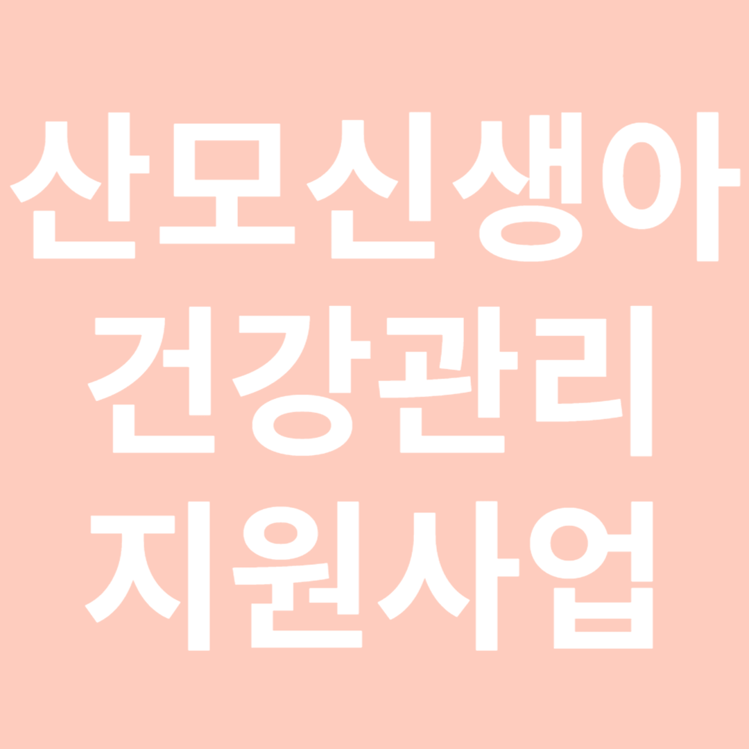 산모신생아건강관리 지원사업