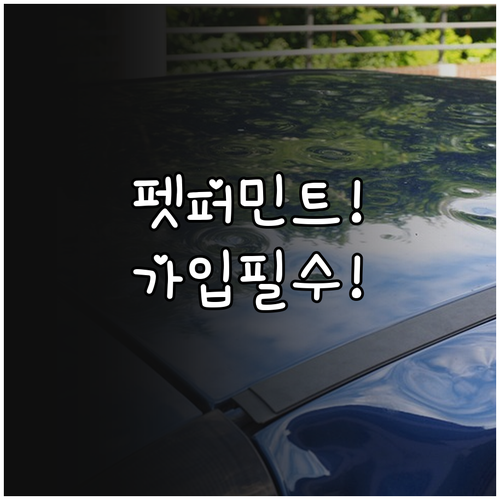 메리츠 펫퍼민트 강아지 보험 총정리 ..