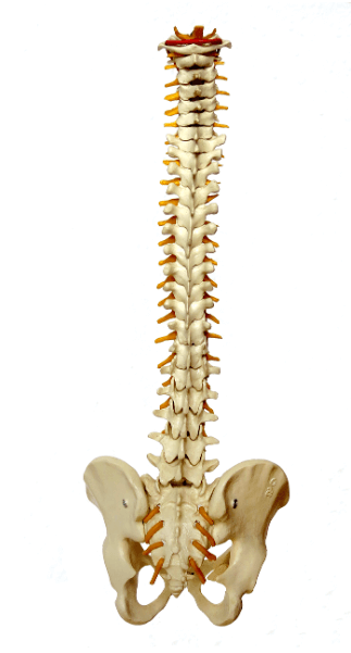 재협착을 막기 위한 올바른 생활 습관