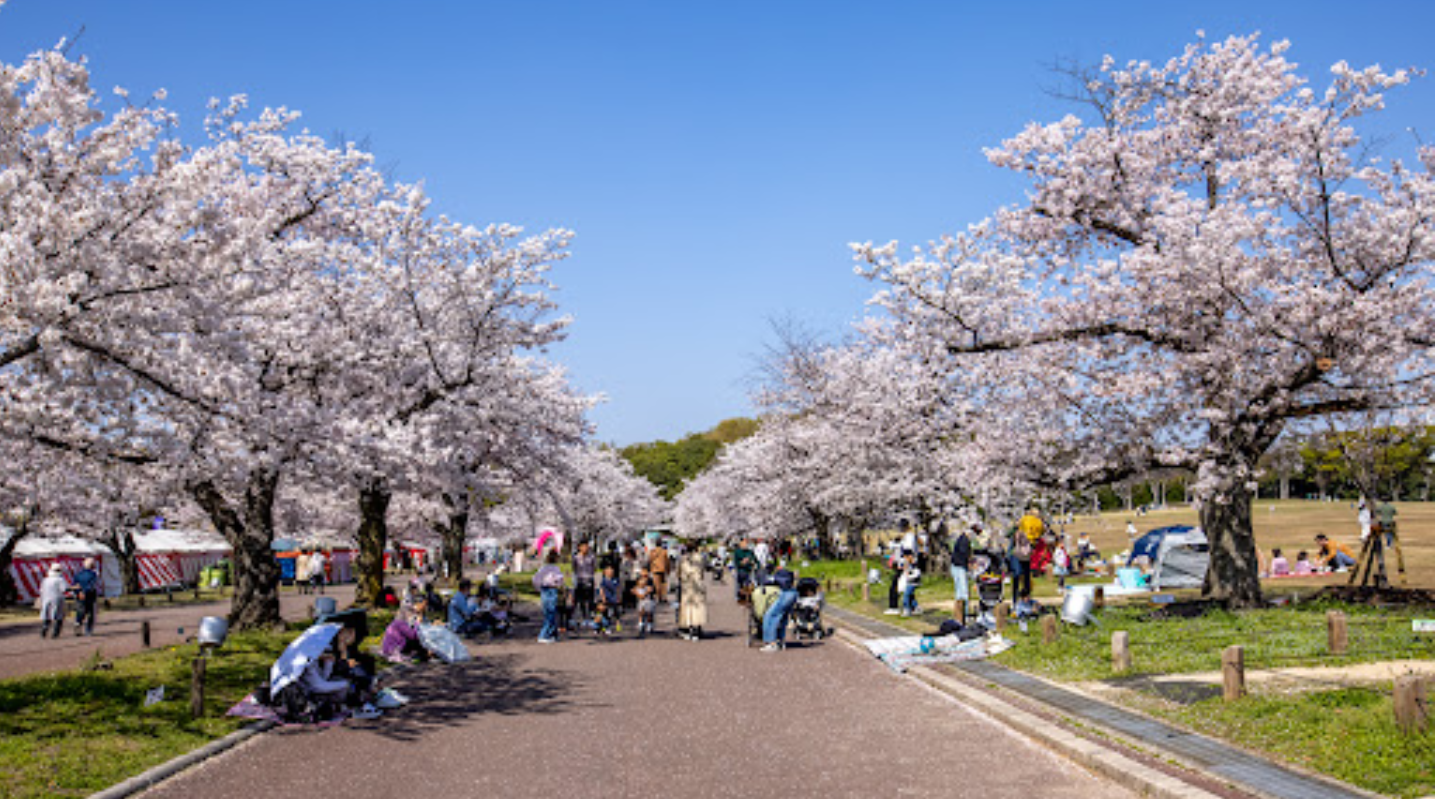 오사카 자유여행 추천 : 오사카 여행 추천 코스