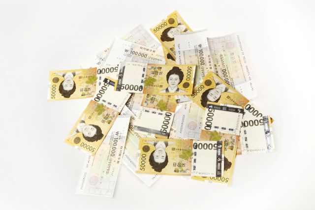 민생회복 소비쿠폰 신청 시 주의사항