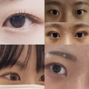 대구 쌍수