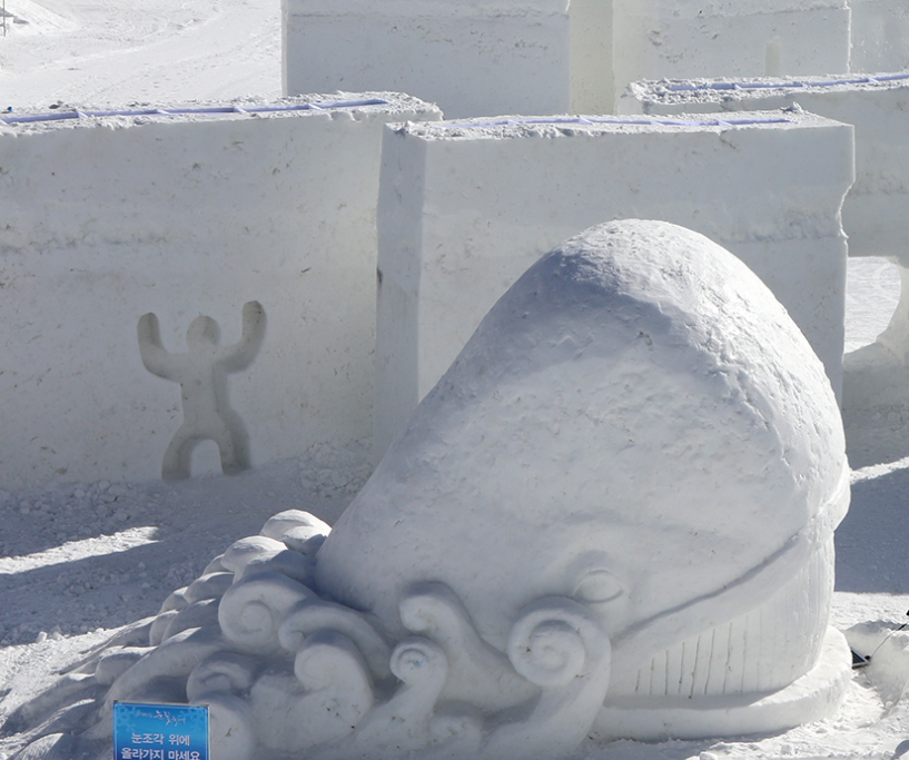 횡계시외버스터미널 시간표