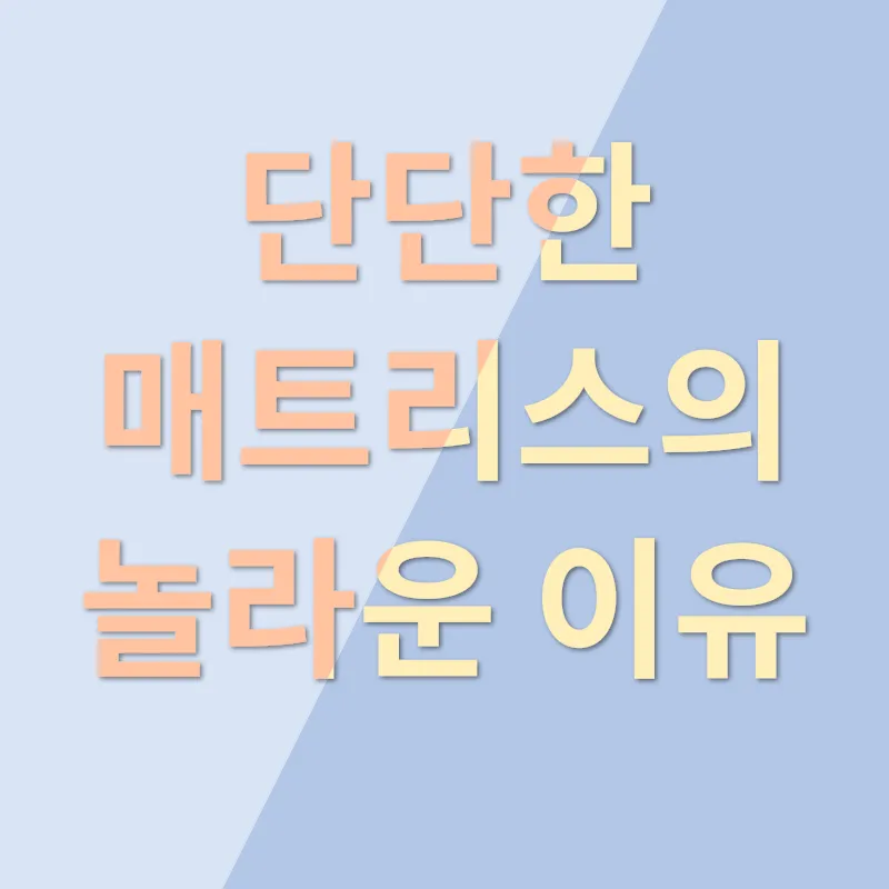 단단한 매트리스 추천_1