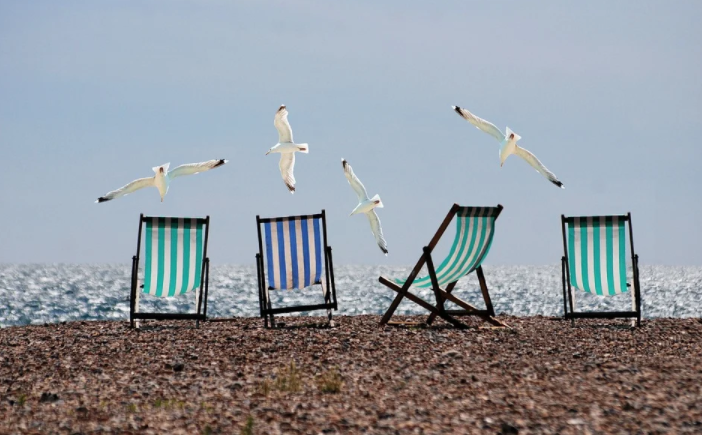 해변가의자와갈매기