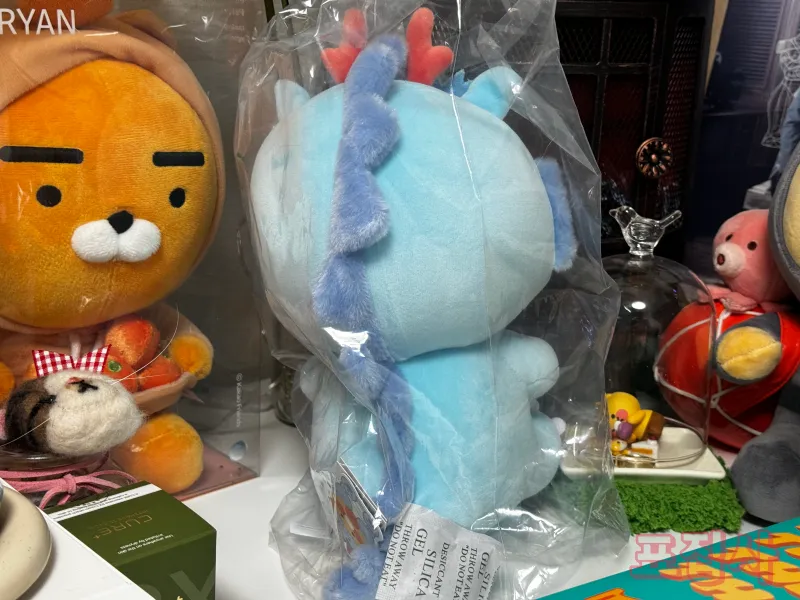 춘식이 인형 뒤