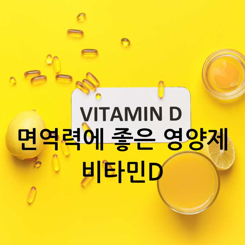 면역력높이는영양제