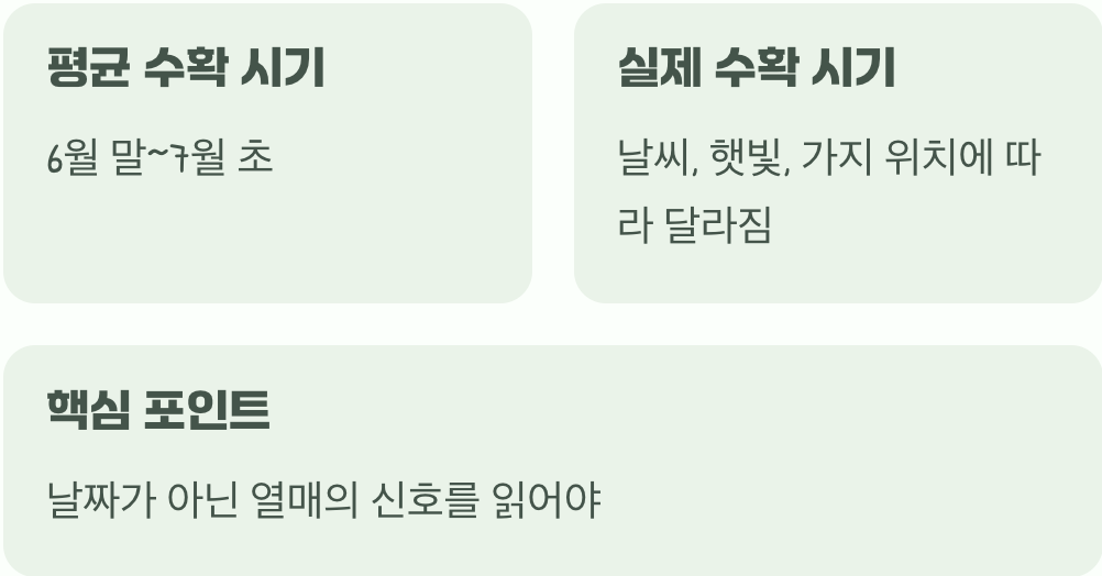 달력보다 정확한 자연의 시계