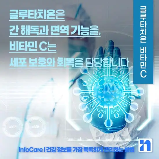 리포좀 글루타치온 비타민C 같이 복용