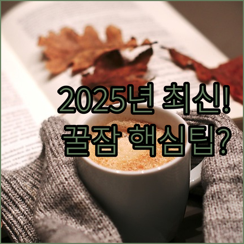 2025년 온수매트 추천 순위 비티일..
