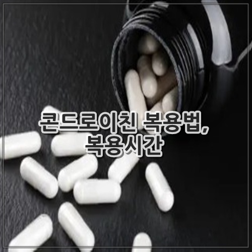 콘드로이친 복용법, 복용시간