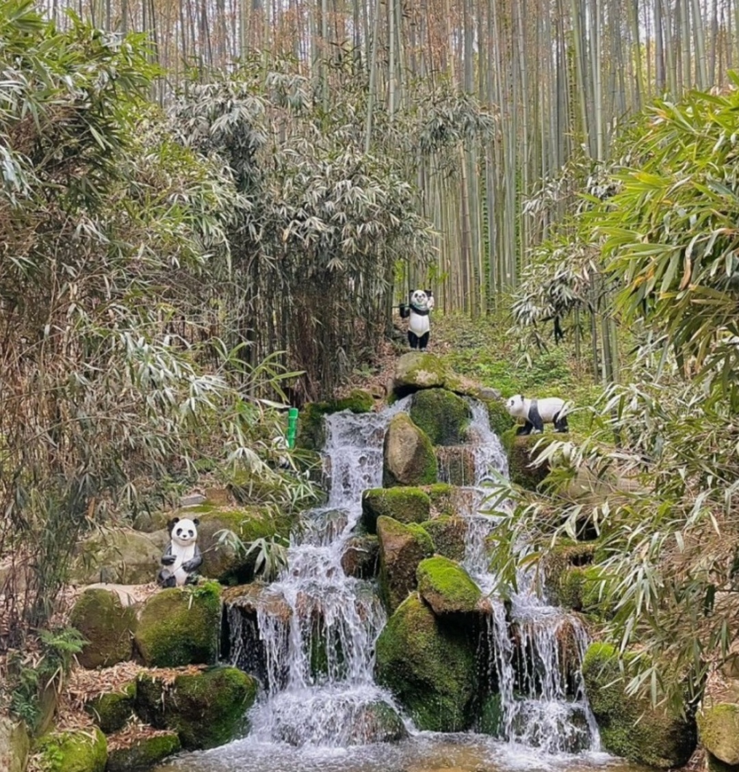 담양 죽녹원 이미지