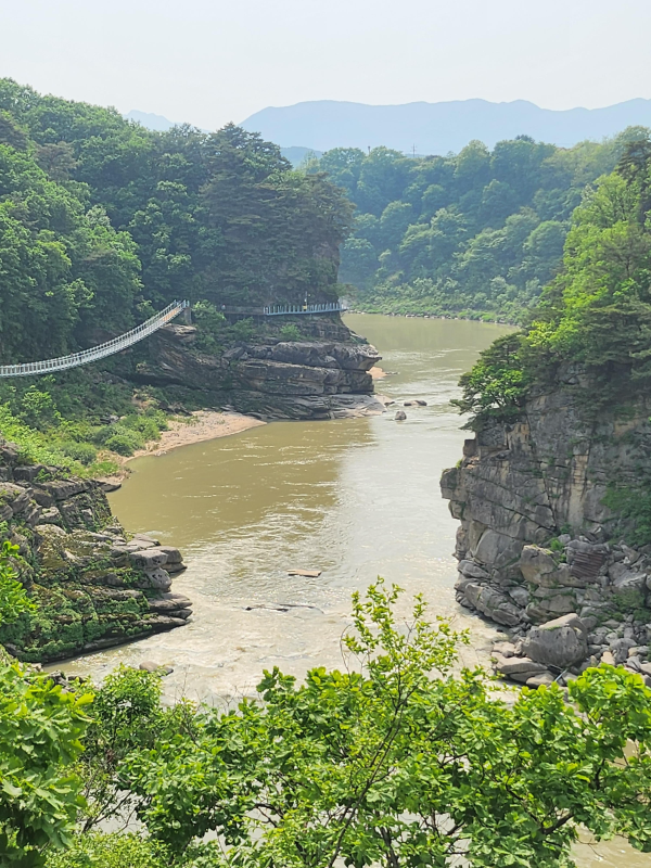 철원 고석정 꽃축제와 1박2일 여행코스 추천 (DMZ·한탄강 포함)