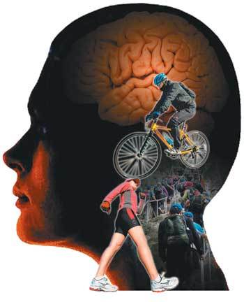 운동이 뇌 건강에 미치는 과학적 효과