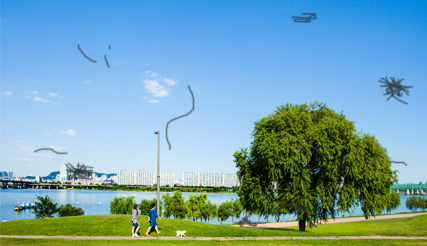 비문증 환자 시야