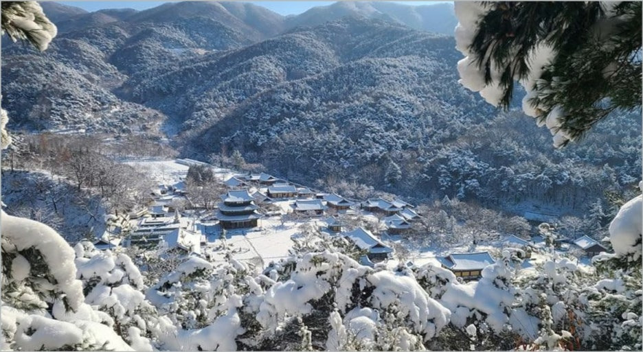 겨울 산사 템플스테이 명소, 고요 속 나를 찾는 사색 여행! 김제 금산사 부안 내소사