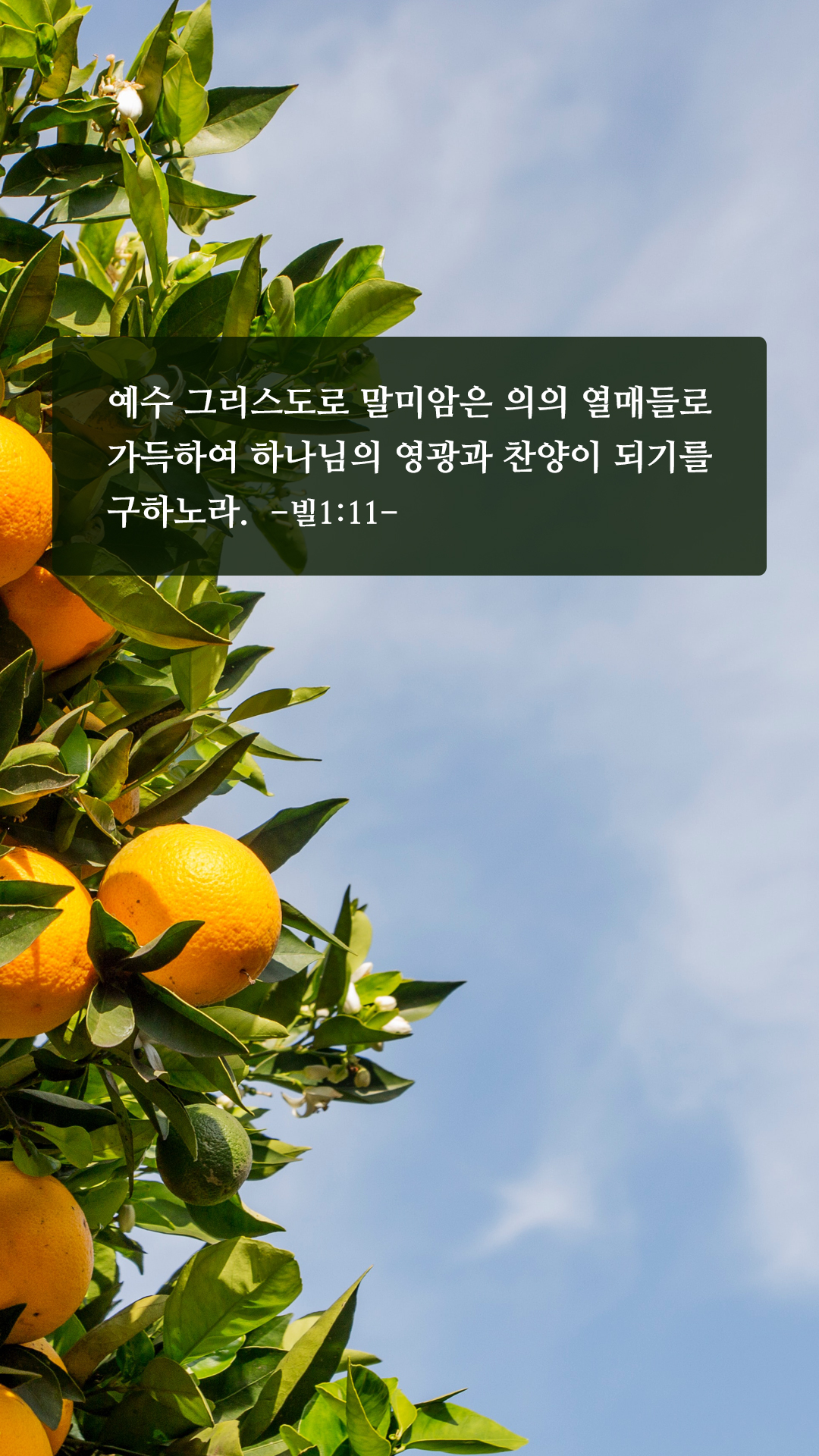 짧고 좋은 성경 구절