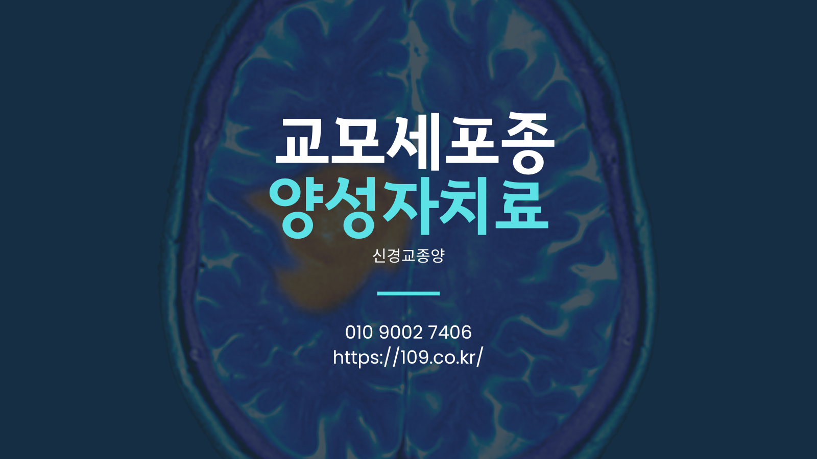 양성자치료