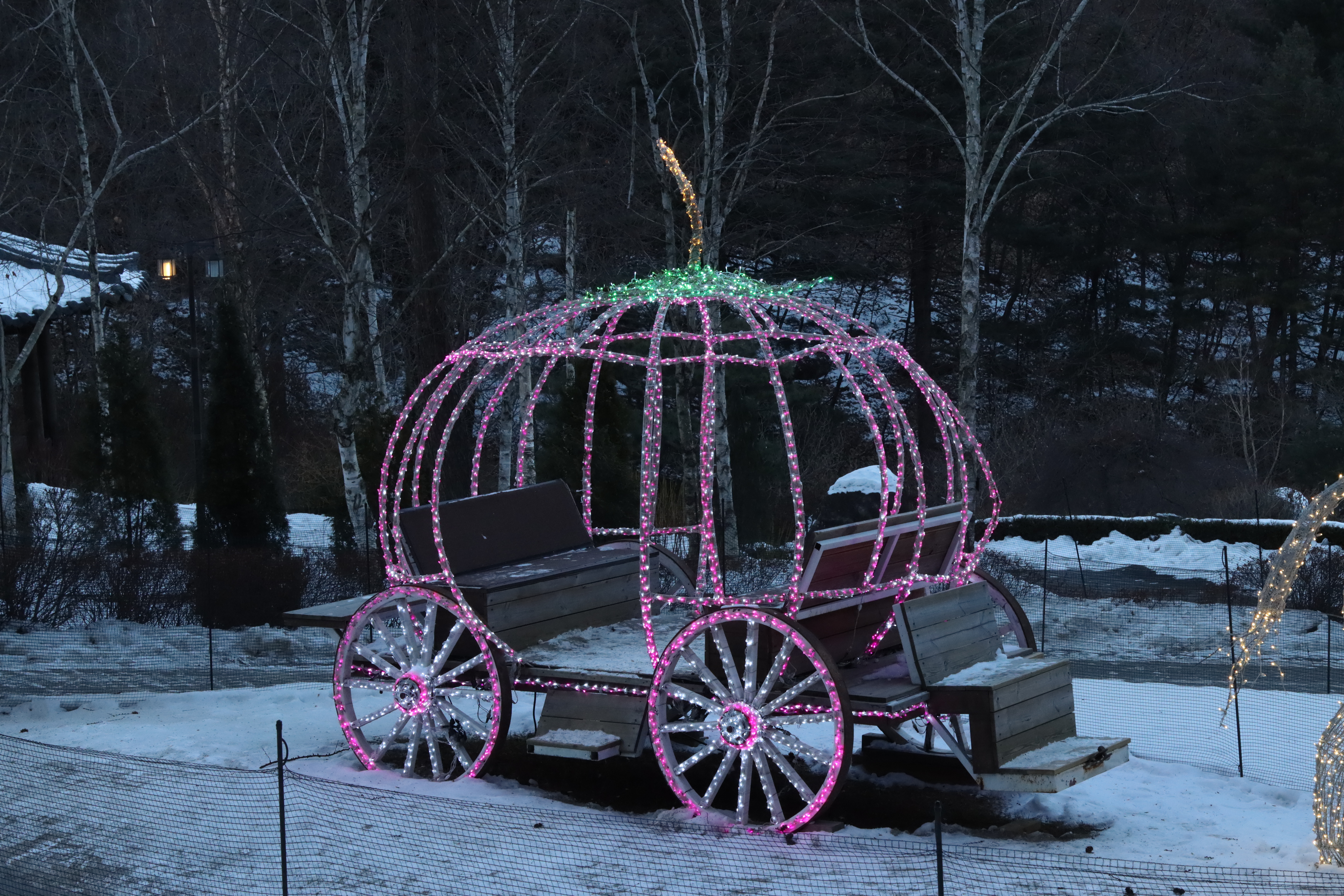 아침고요수목원