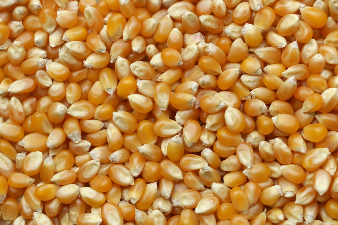 Buckwheat.