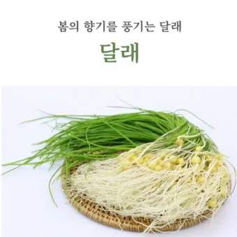 달래 손질 방법 달래장 맛있게 꿀팁_18