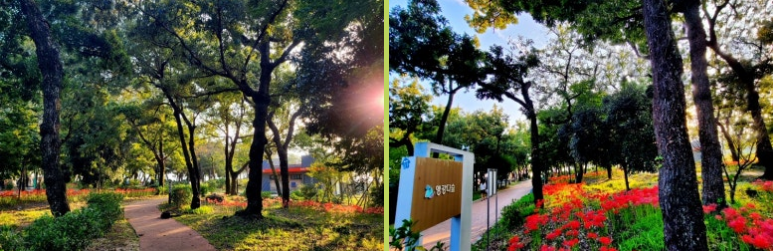 앵강다숲마을 내 사진